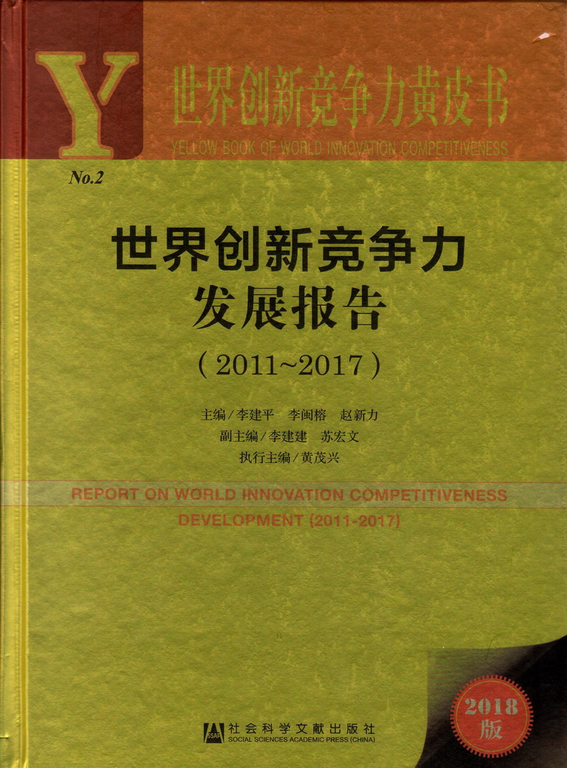 黄色操逼子世界创新竞争力发展报告（2011-2017）